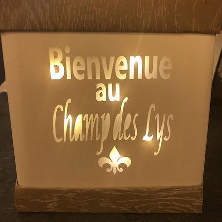 Le Champ Des Lys Hotel Amancey ภายนอก รูปภาพ