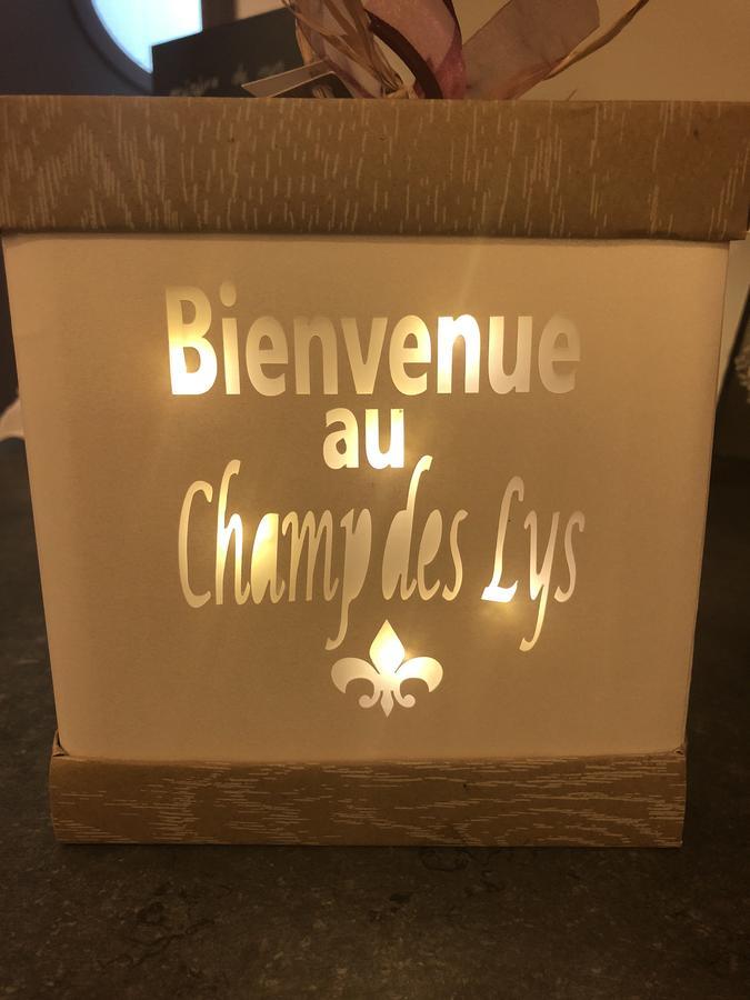 Le Champ Des Lys Hotel Amancey ภายนอก รูปภาพ